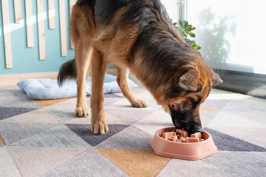 Feeding Essentials