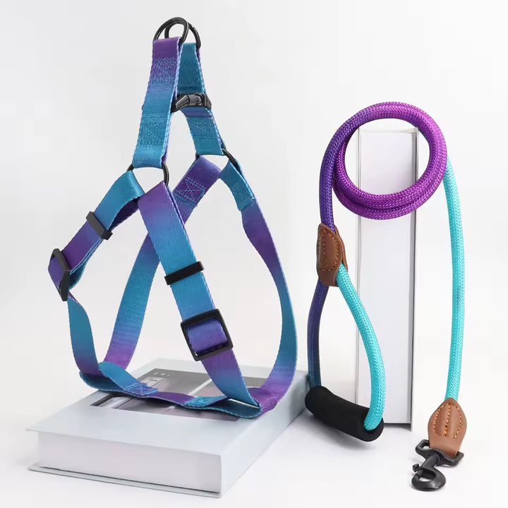 Colorful Dog Harness &amp; Leash Set
