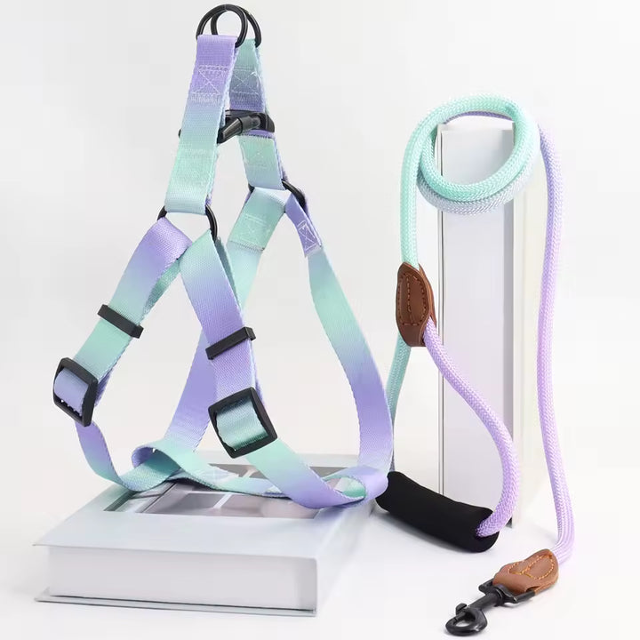 Colorful Dog Harness &amp; Leash Set