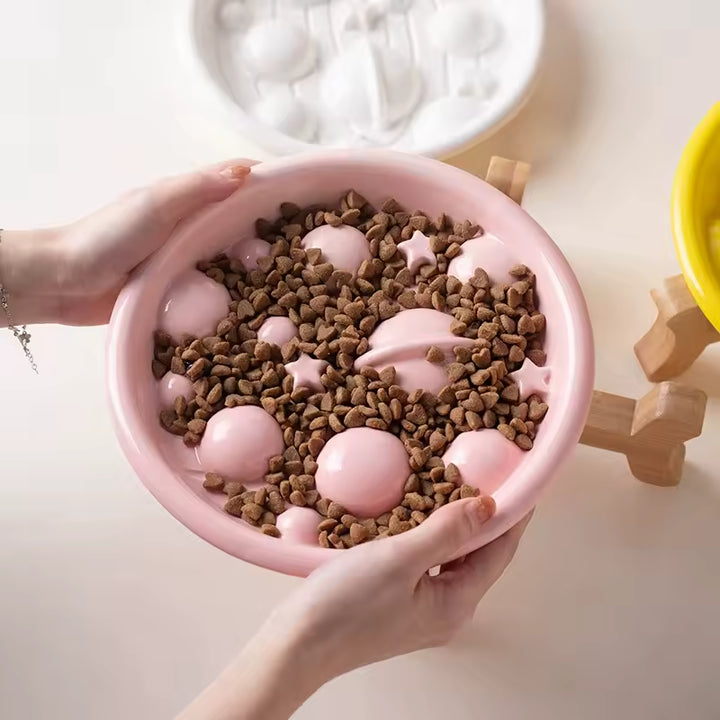 Slow Feed Elevated Ceramic Dog Bowl