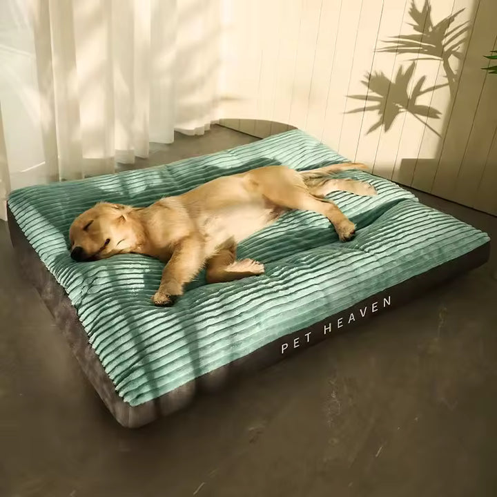 Extra Thick Orthopedic XXL Dog Bed
