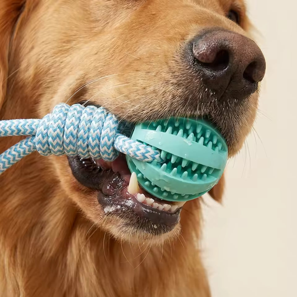 Interactive Rope &amp; Rubber Treat Ball Dog Toy