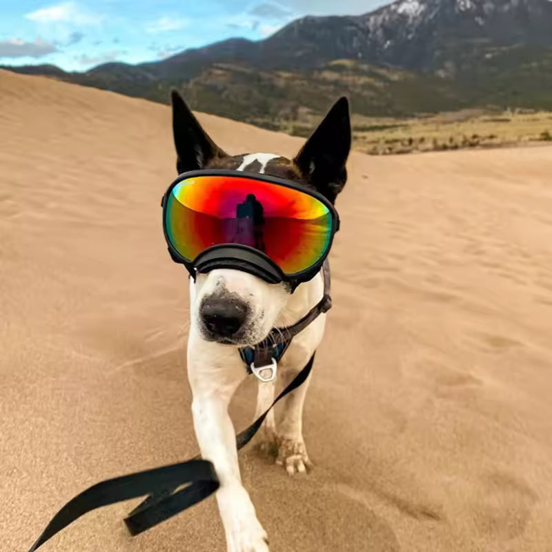 Travel Dog Anti-UV Protective Goggles