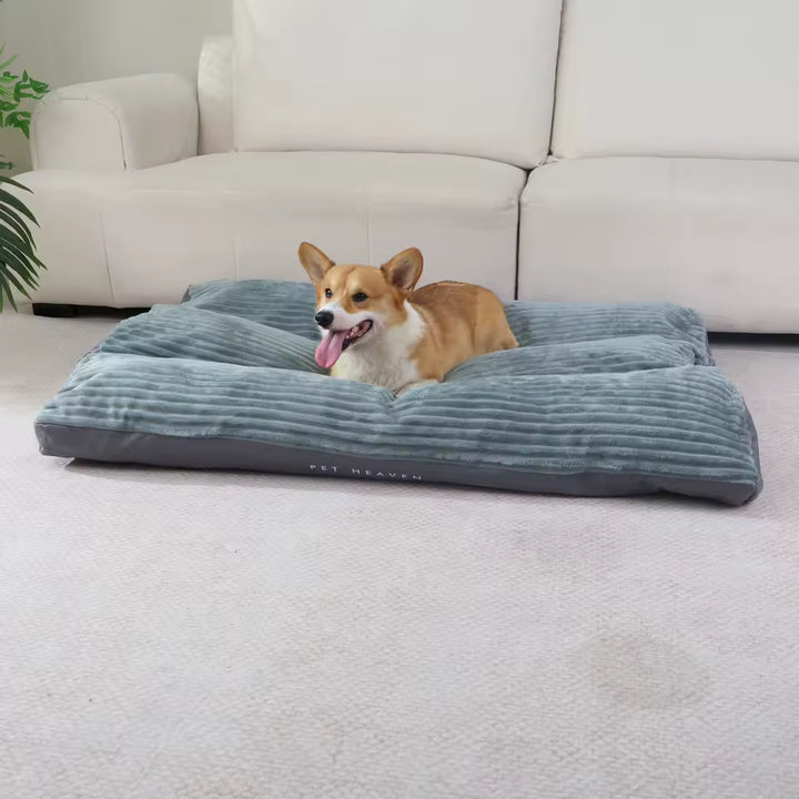 Extra Thick Orthopedic XXL Dog Bed