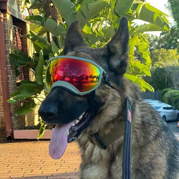 Travel Dog Anti-UV Protective Goggles