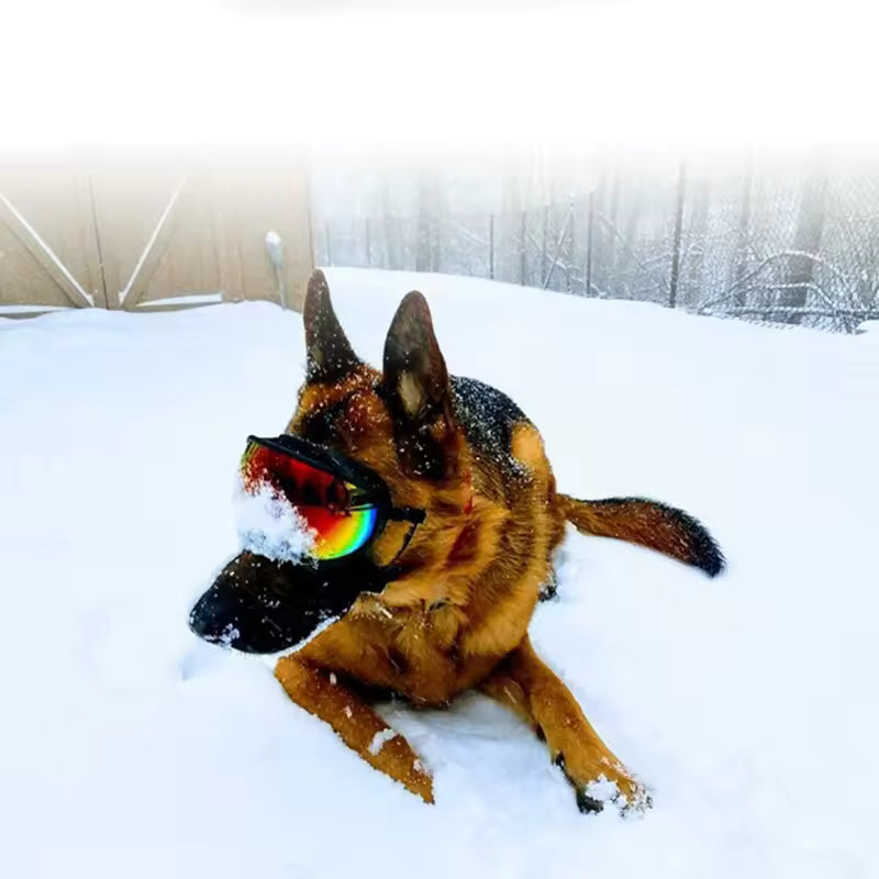 Travel Dog Anti-UV Protective Goggles