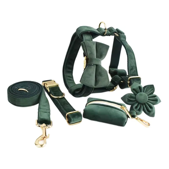 Velvet Personalized Dog Collar Harness Set