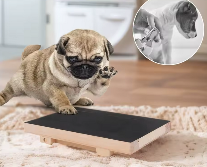 Dog Anxiety Relief Scratch Pad Treat Box