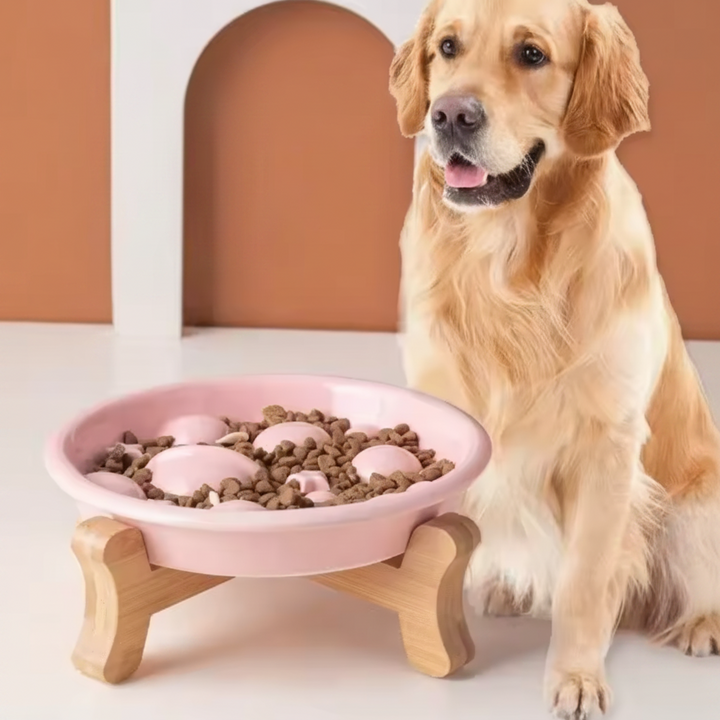 Slow Feed Elevated Ceramic Dog Bowl
