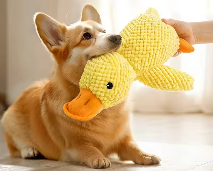 Squeaky Duck Chew Dog Toy