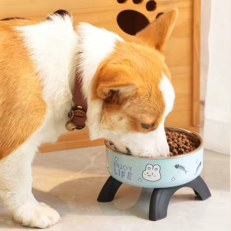 Elevated Non Slip Stainless Steel Dog Bowl Set